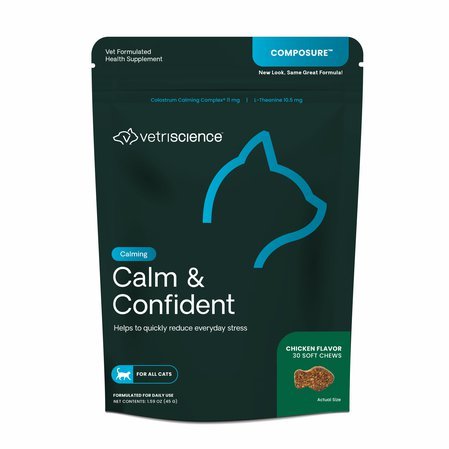 Calm & Confident  cat.jpg