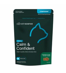 Calm & Confident  cat.jpg