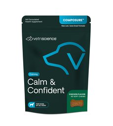 Calm & Confident dog.jpg