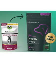 Healthy Heart -  kardiovaskulární systém