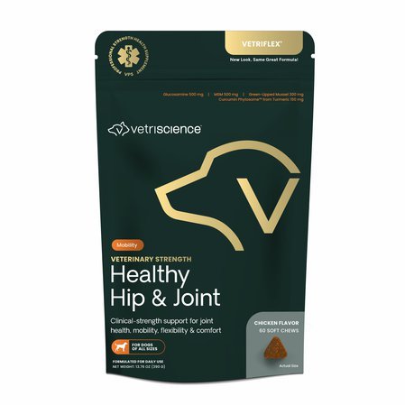 Healthy Hip & Joint dog.jpg