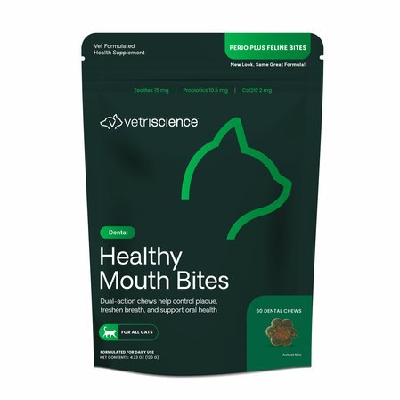 Healthy Mouth Bites.jpg