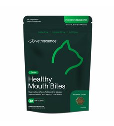 Healthy Mouth Bites.jpg
