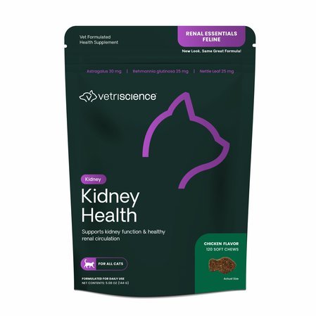 Kidney Health cat.jpg