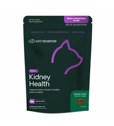 Kidney Health cat.jpg