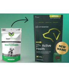 27+ Active Health
