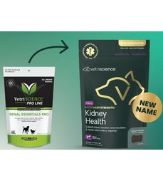 Kidney Health