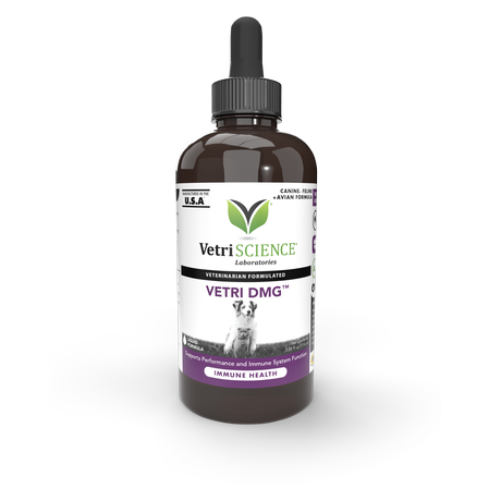 Vetri DMG 114ml.png